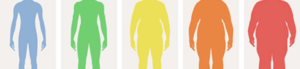 Understanding Obesity